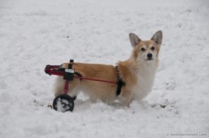 Helen in Her Cart