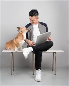 Corgi "helping" online